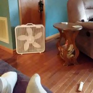 Meet your Posher, Lawrence